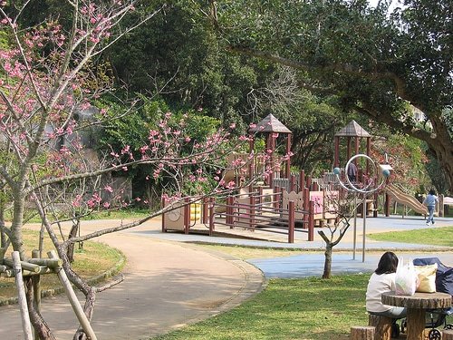 🌳 야에시마 공원 (야에시마 코엔) 이미지 5